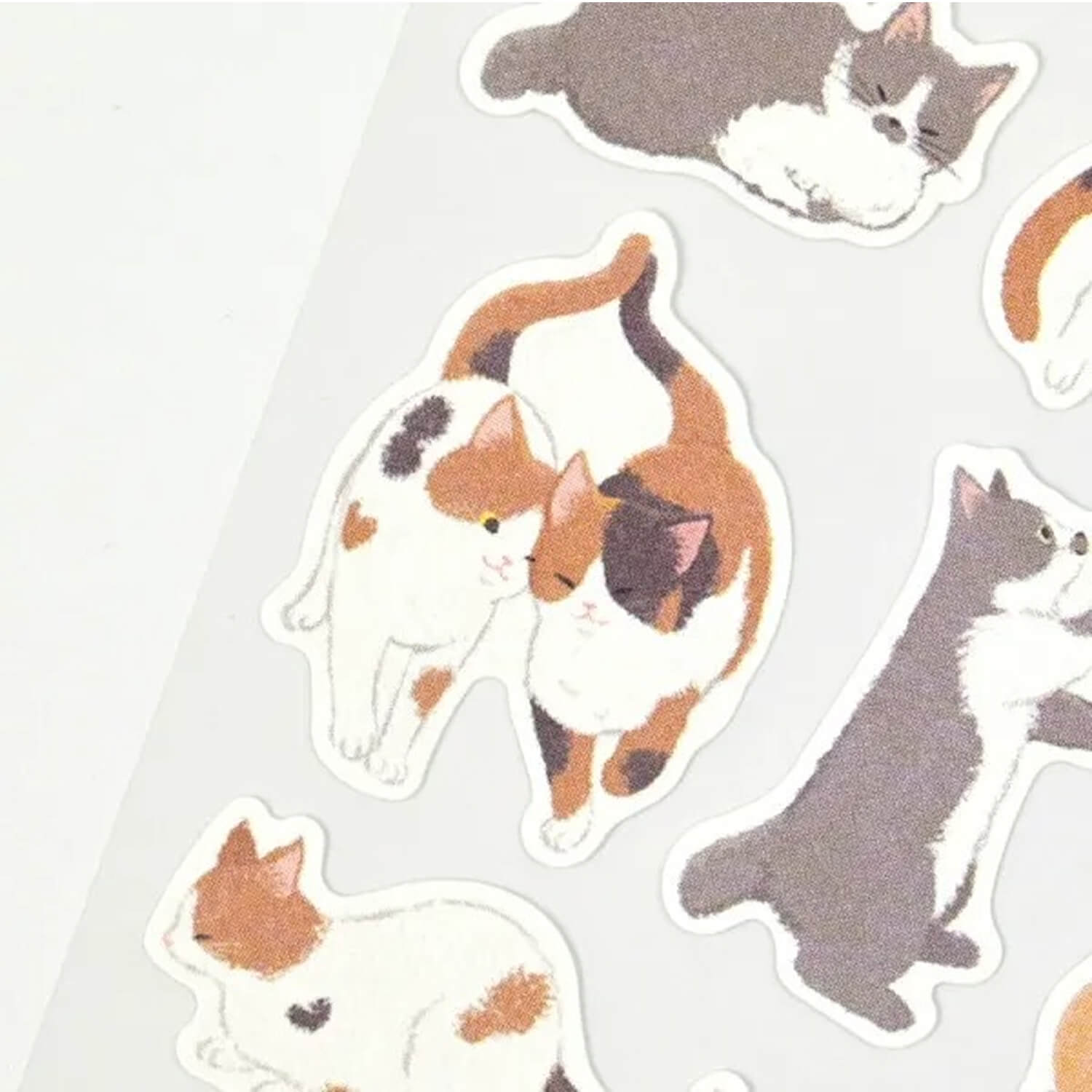 NB Nyantomo Large Stickers – Old Town