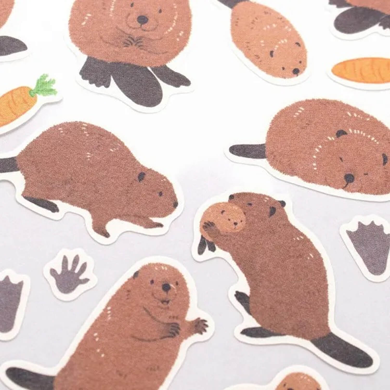 NB ZOOm in Animals Large Stickers – Beaver