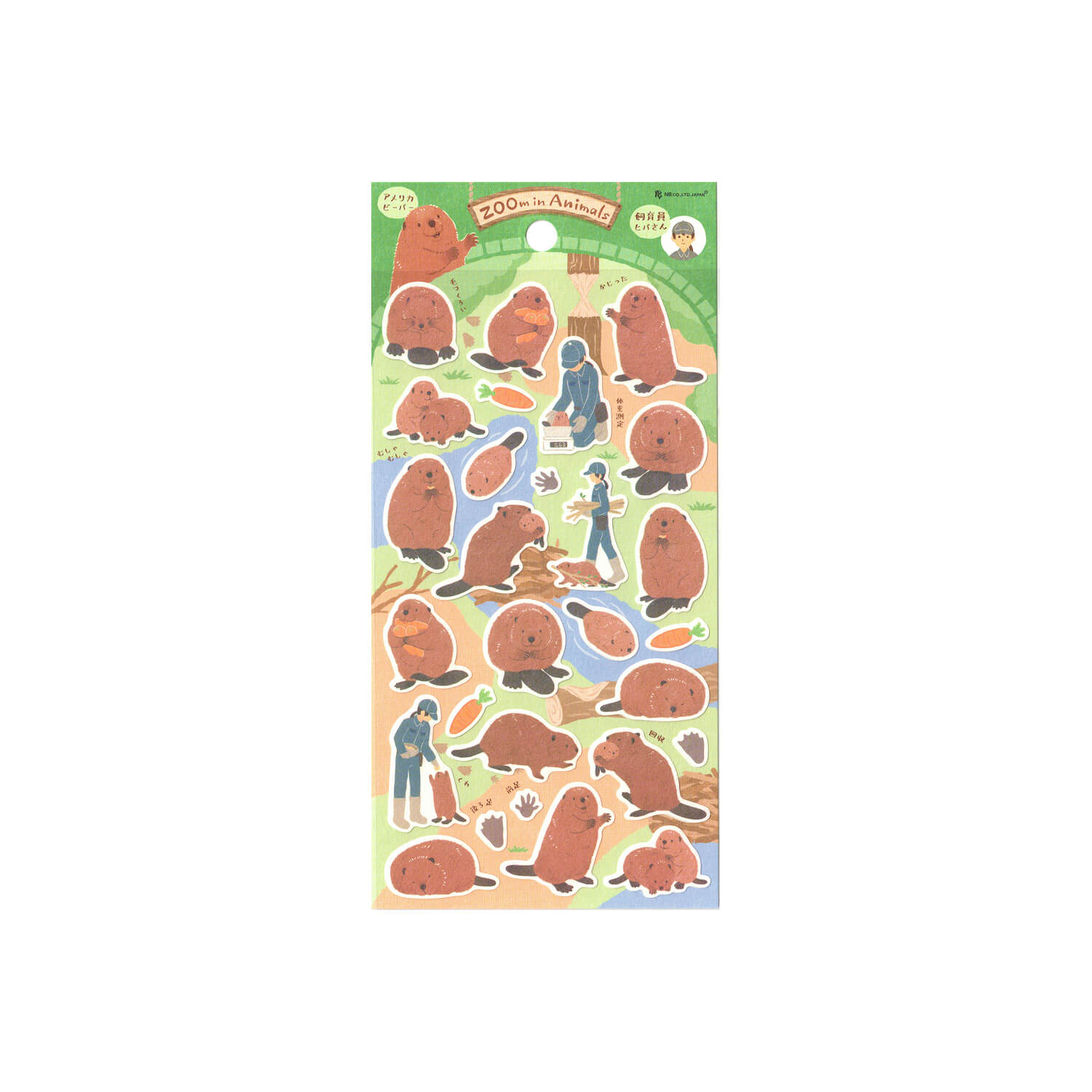 NB ZOOm in Animals Large Stickers – Beaver