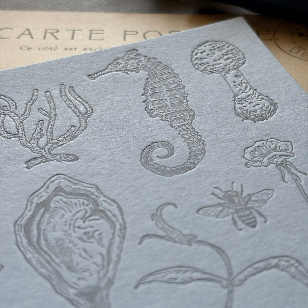 Nemunoki Letterpress Card – The Sea Witch and the Garden Witch