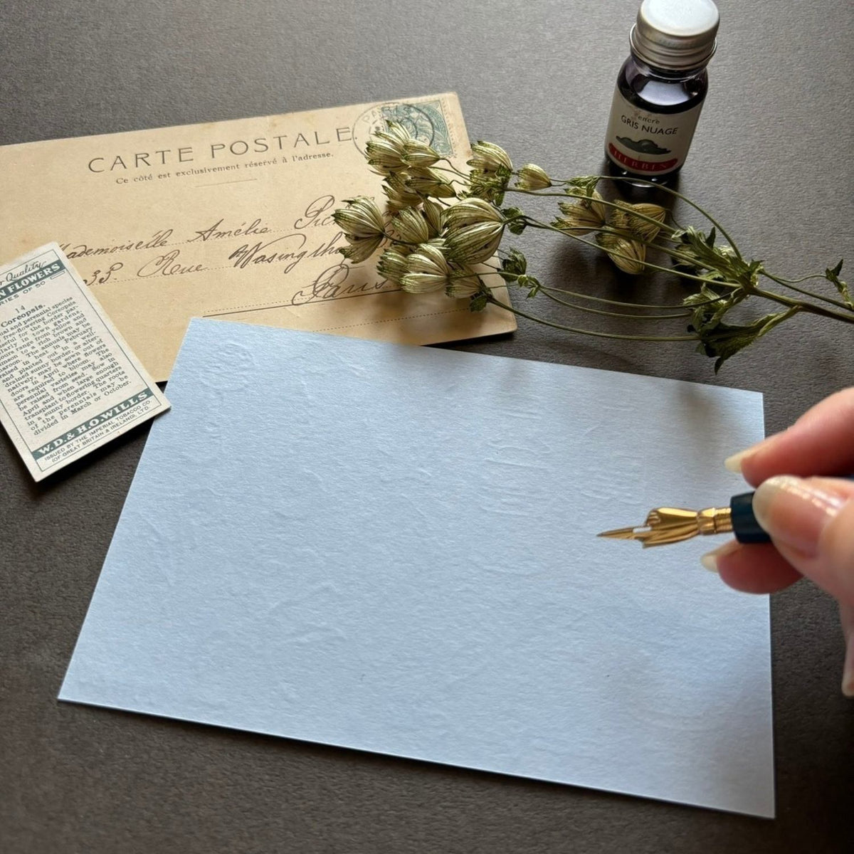 Nemunoki Letterpress Card – The Sea Witch and the Garden Witch