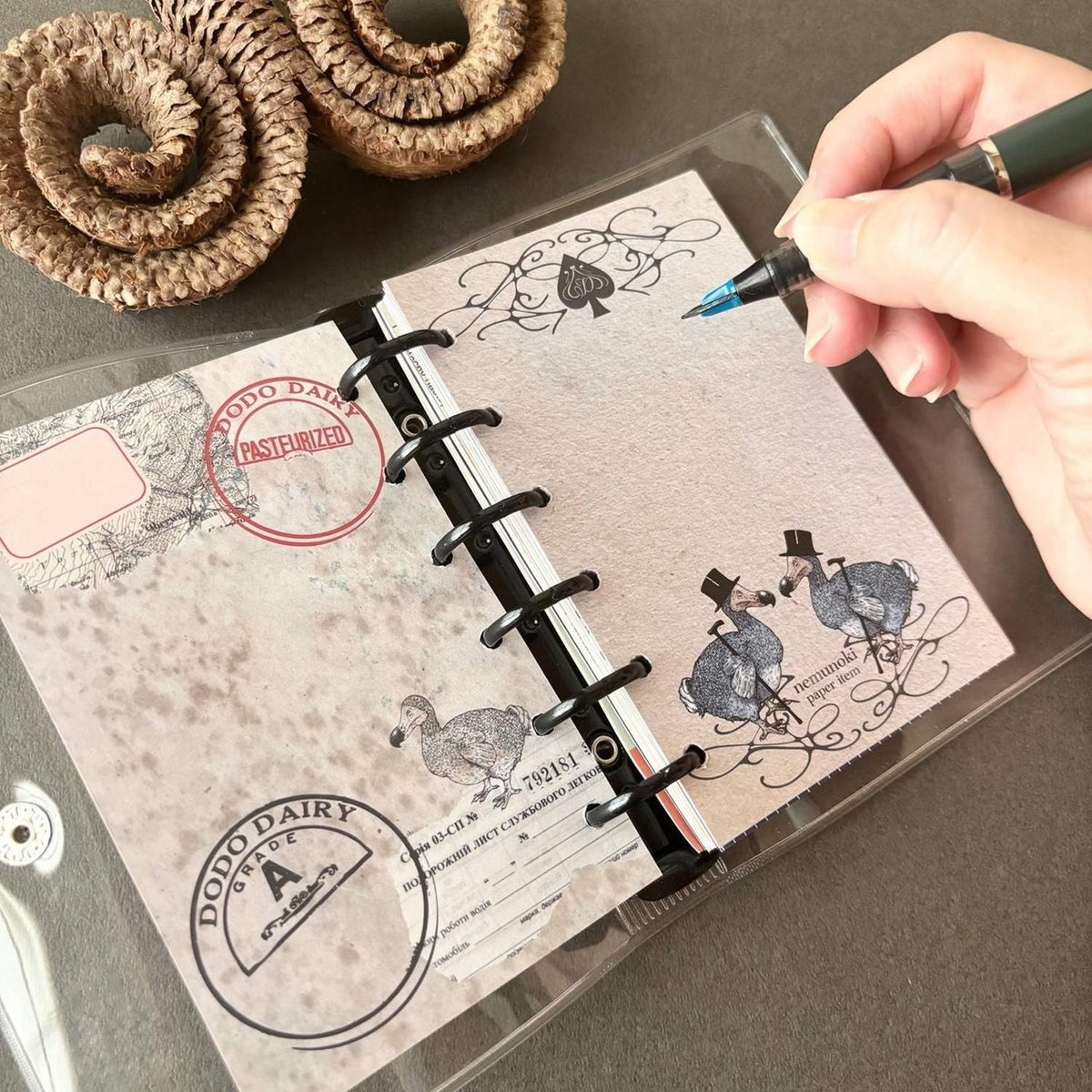 Nemunoki M6 Refill Memo Sheets – Dodo Gentleman