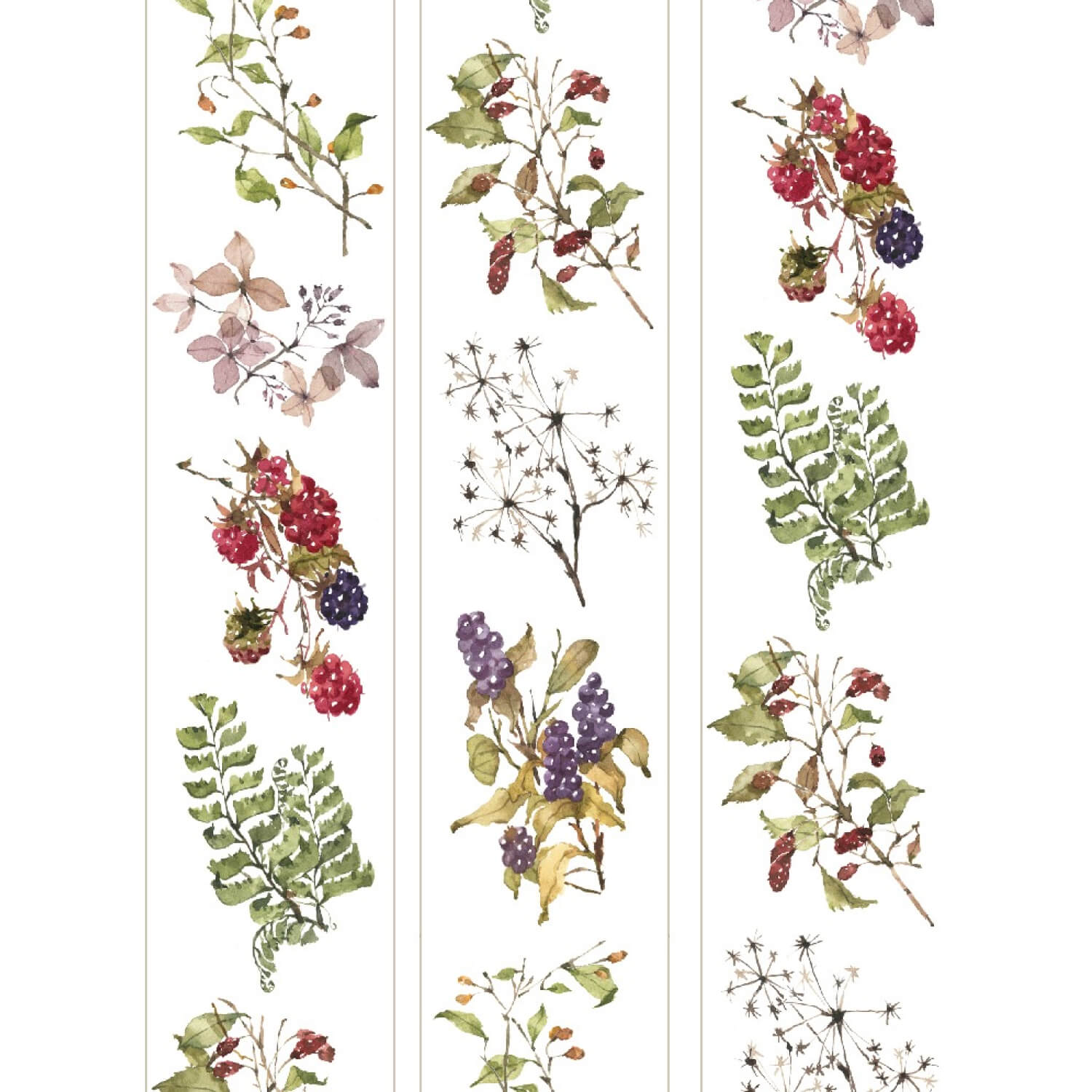 OURS Wild Wreath Masking Tape