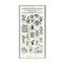 Oeda Letterpress x WACCA JAPAN EDO Gardening Sticker Sheet