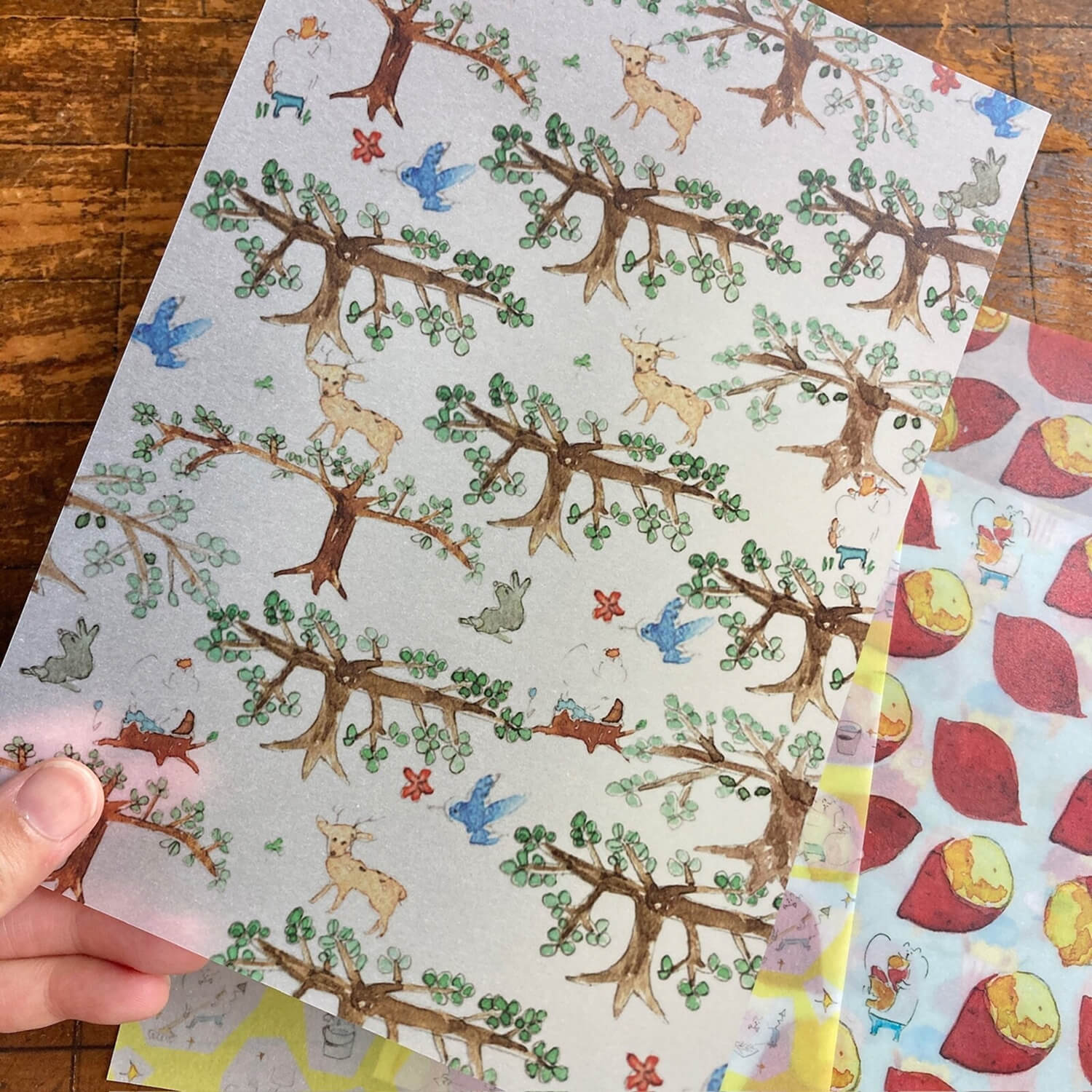 Spica Garden Tracing Paper Set – Autumn Designs
