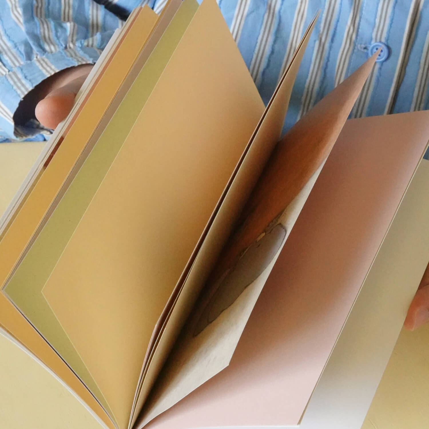 Square Studio × Pige Collection Traveler’s Notebook Insert
