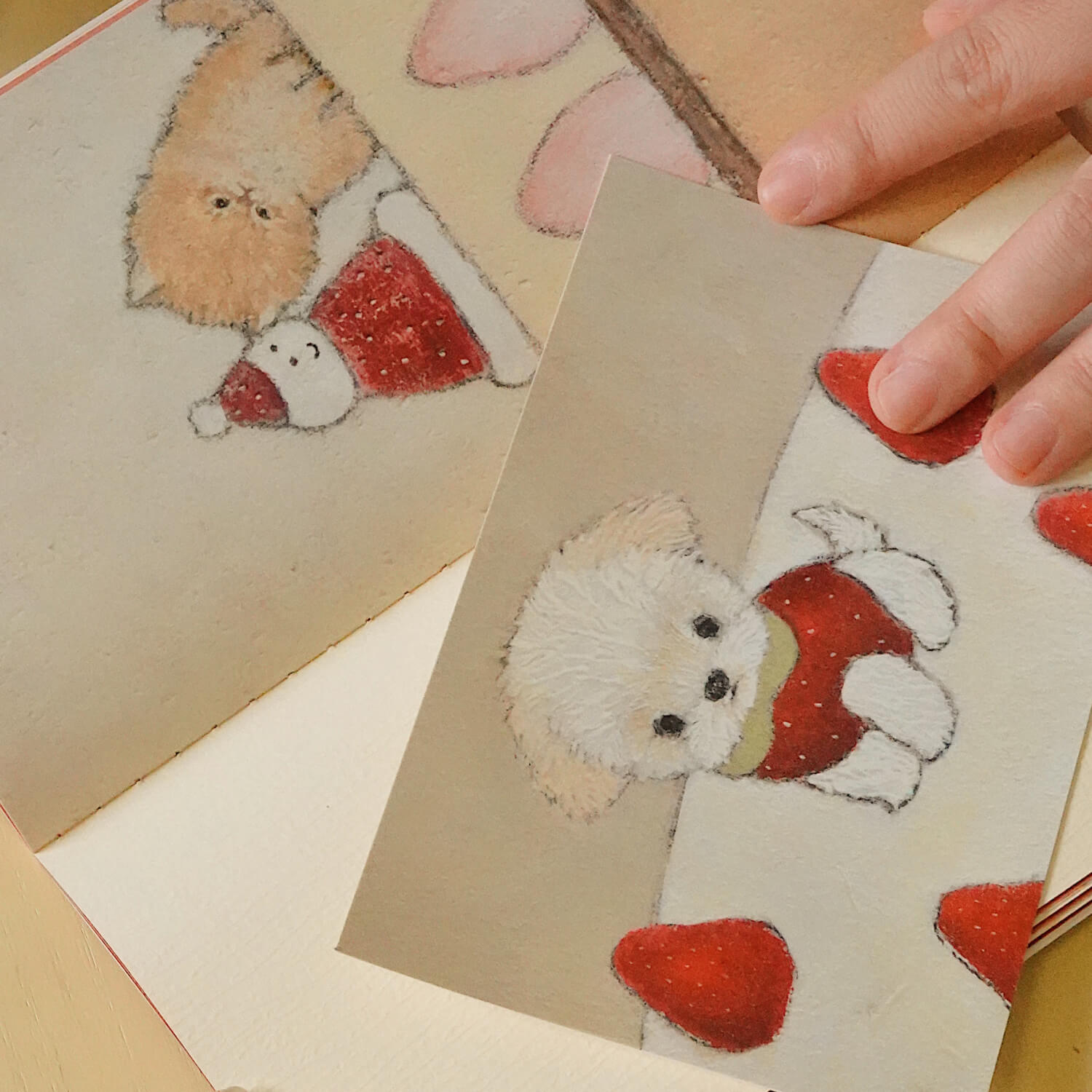 Square Studio × Pige Postcard