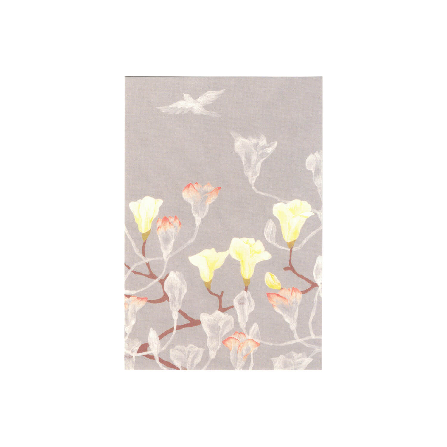 TOUCH &amp; FLOW x Iwagami Ayako Postcard – White Magnolia