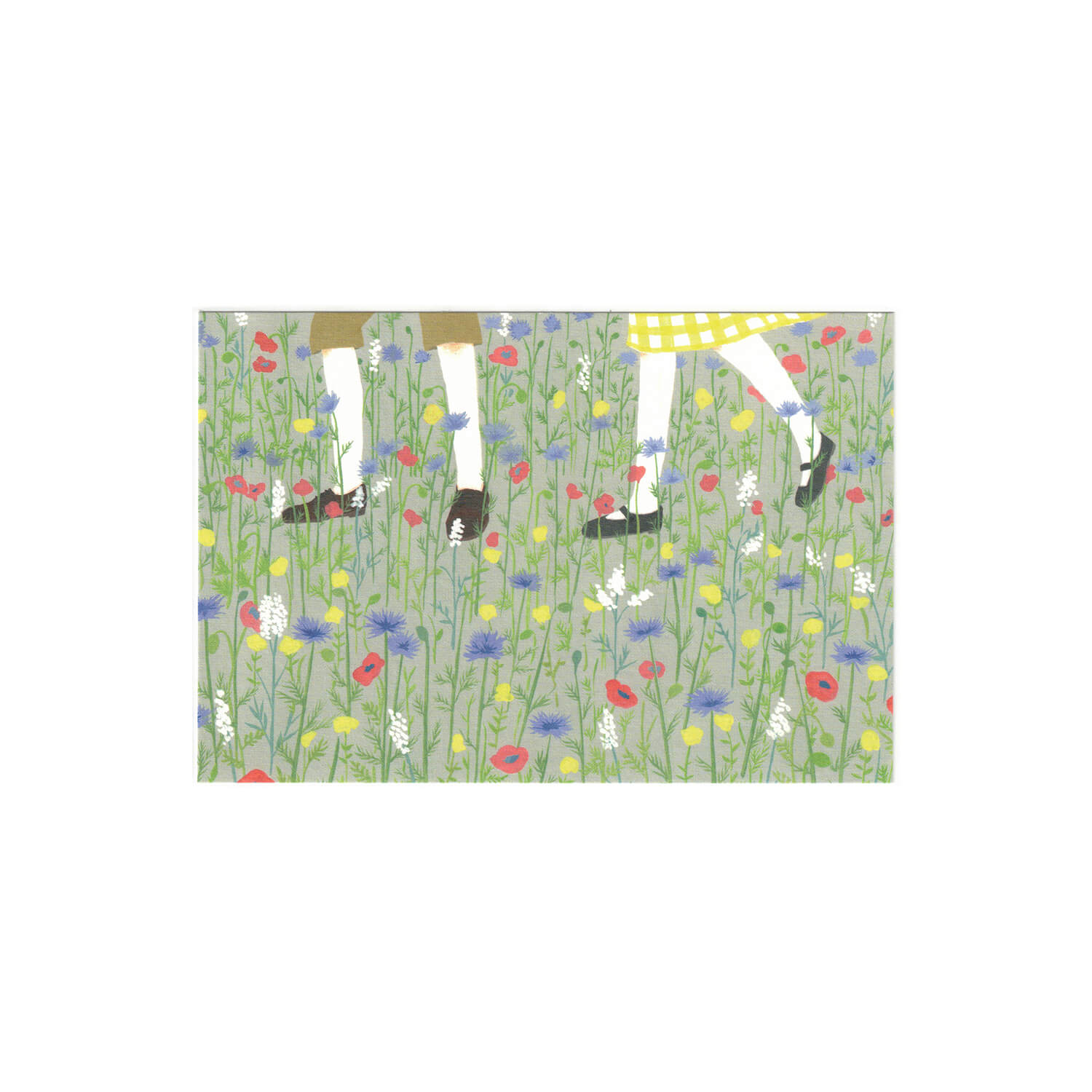 TOUCH &amp; FLOW x Iwagami Ayako Postcard – Wildflowers