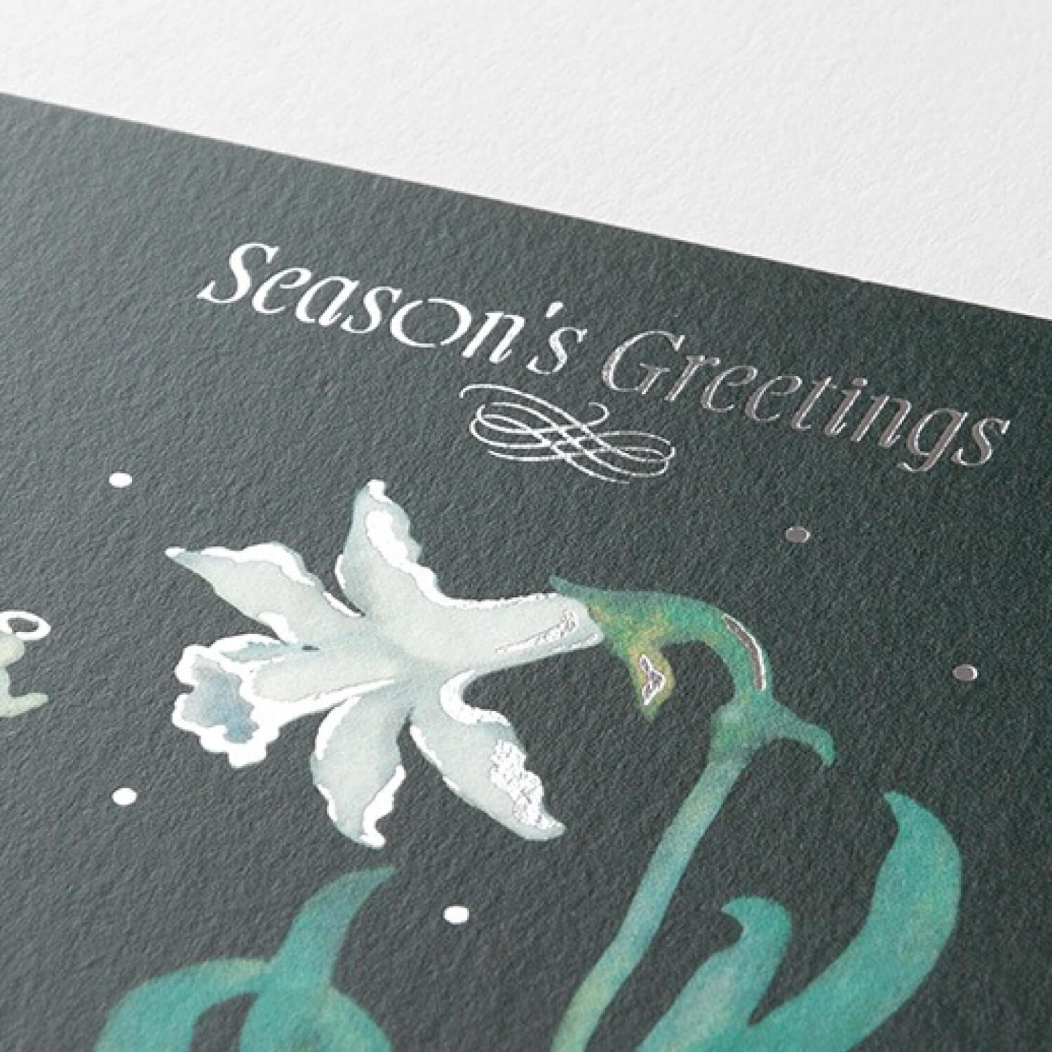 TOUCH &amp; FLOW x Sato Nonoko Postcard – Daffodil