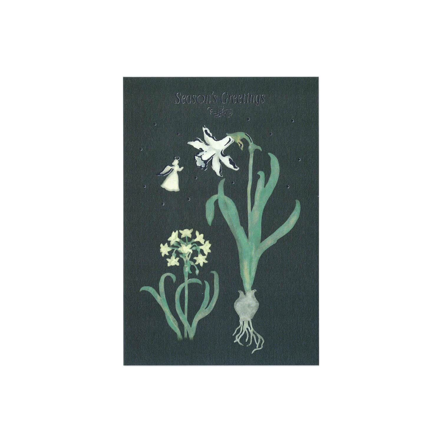 TOUCH &amp; FLOW x Sato Nonoko Postcard – Daffodil