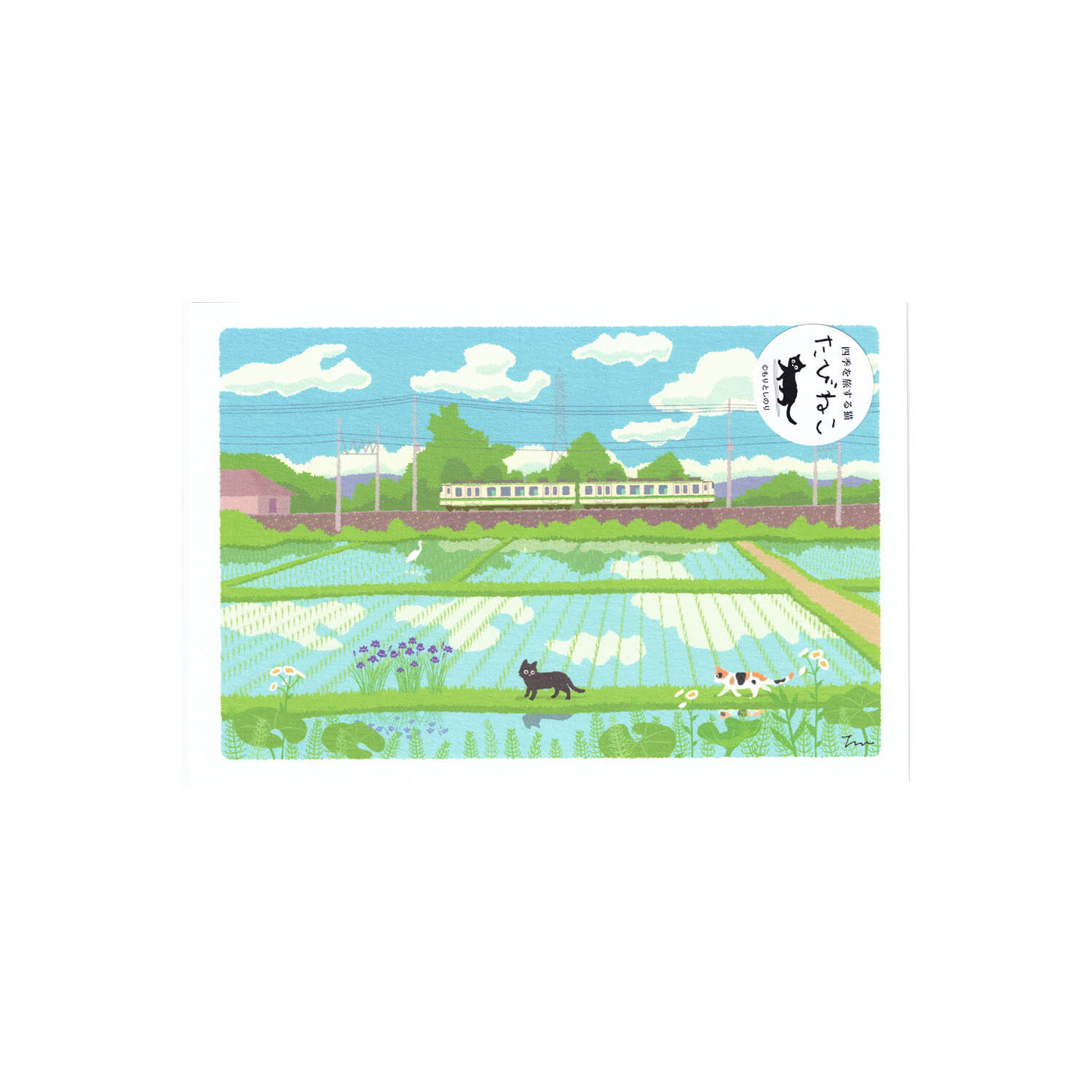 Tabineko Summer Postcard – Countryside