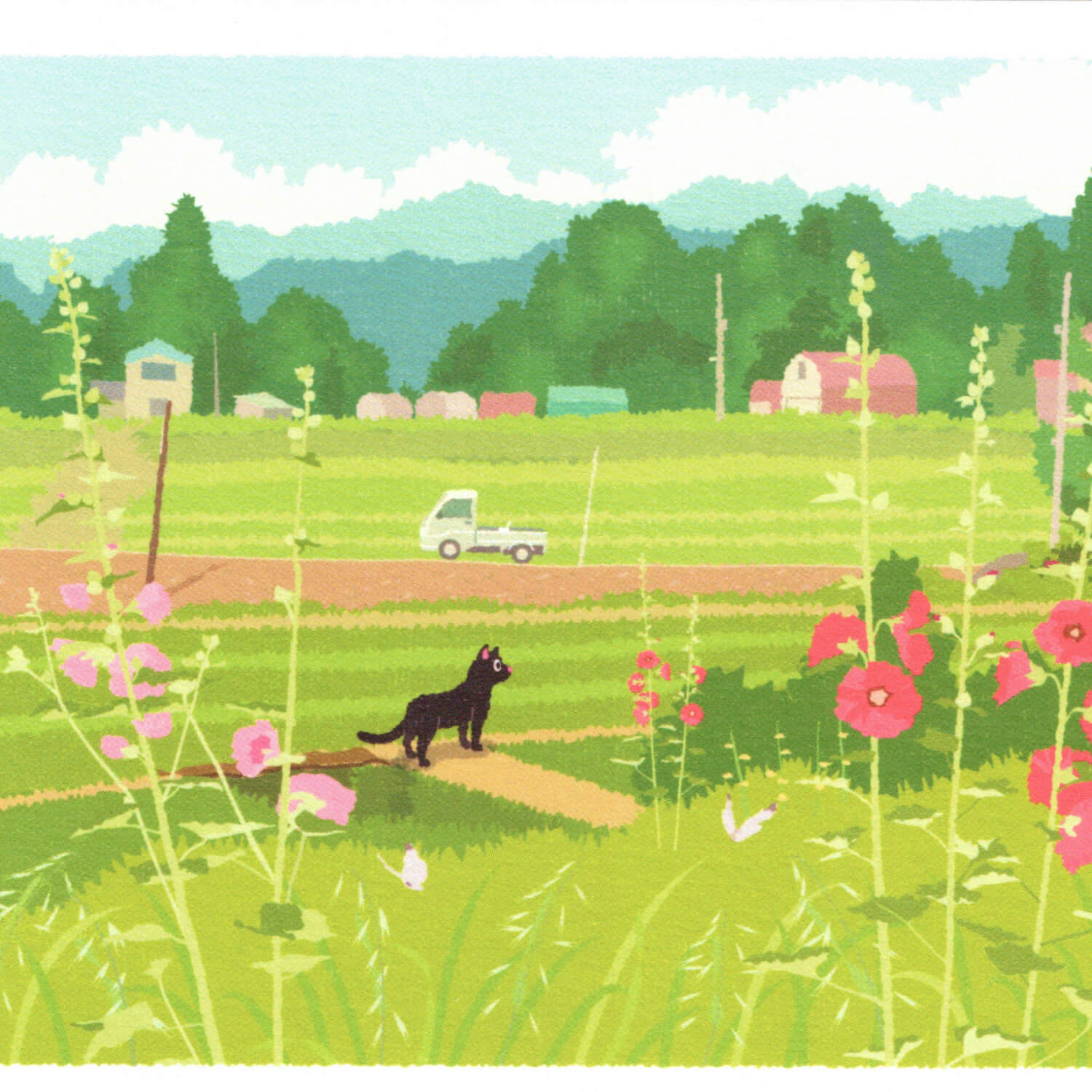 Tabineko Summer Postcard – Early Summer Light