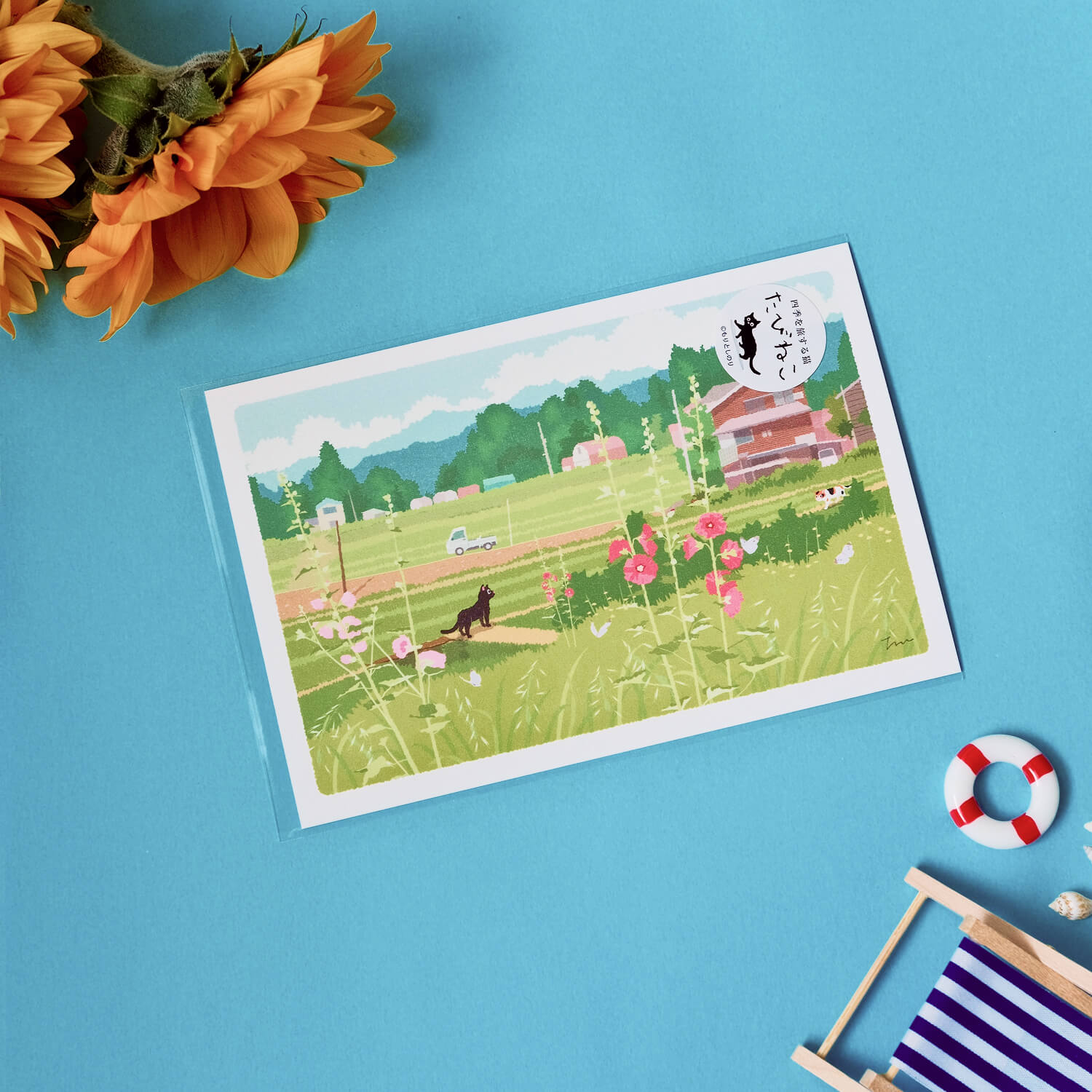 Tabineko Summer Postcard – Early Summer Light