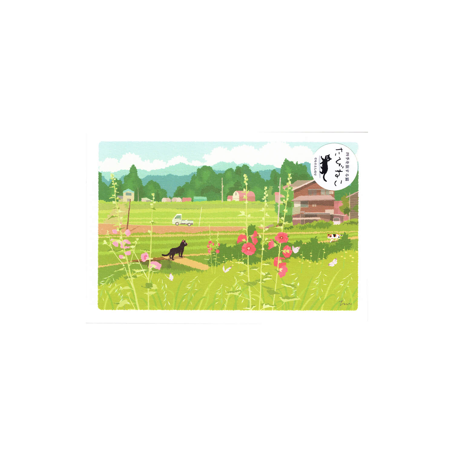 Tabineko Summer Postcard – Early Summer Light