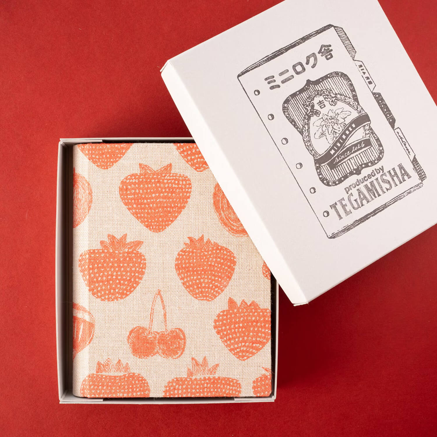 Tegamisha x Aya Inoue Loose Leaf Binder – ichigo and