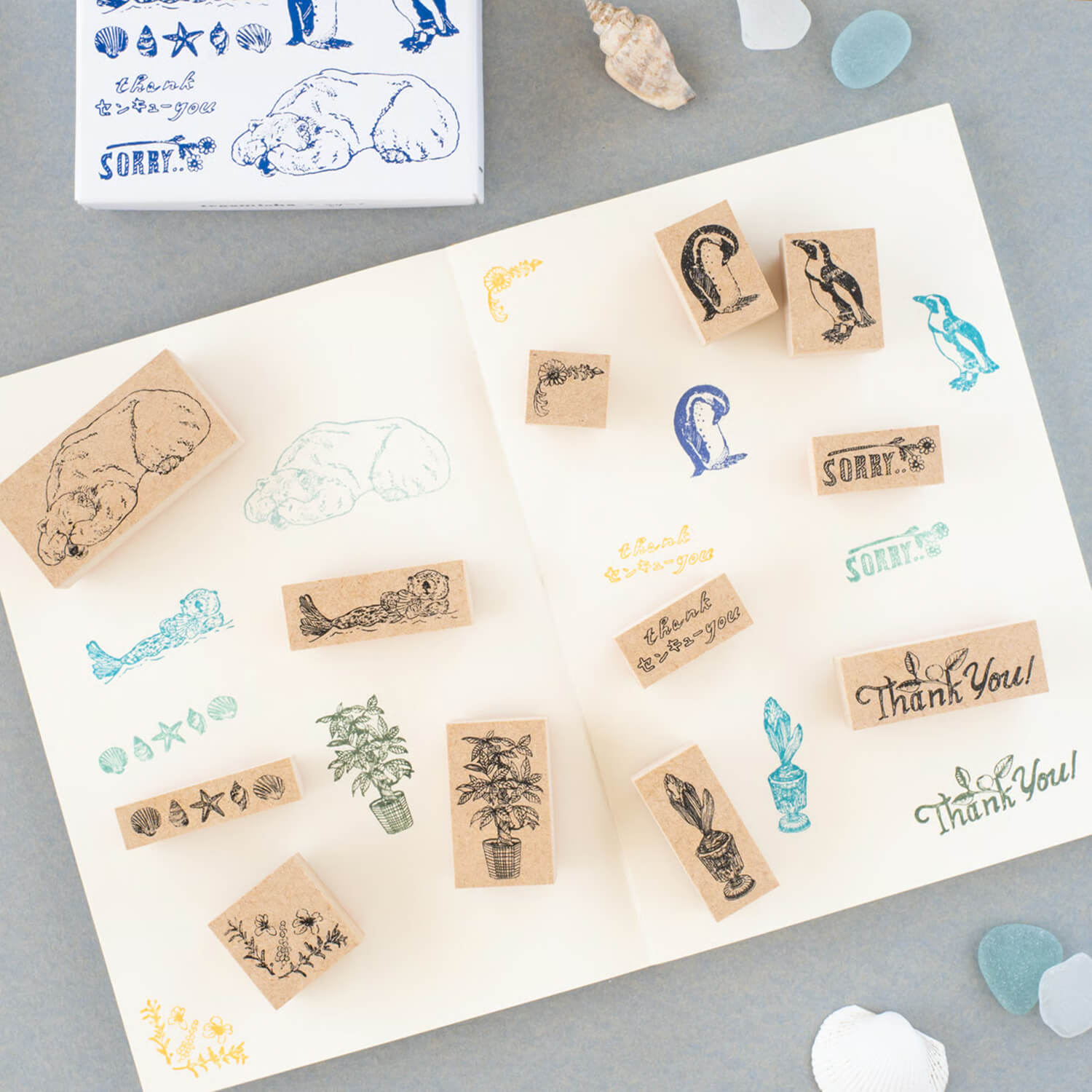 Tegamisha x Aya Inoue Stamp – Pachira