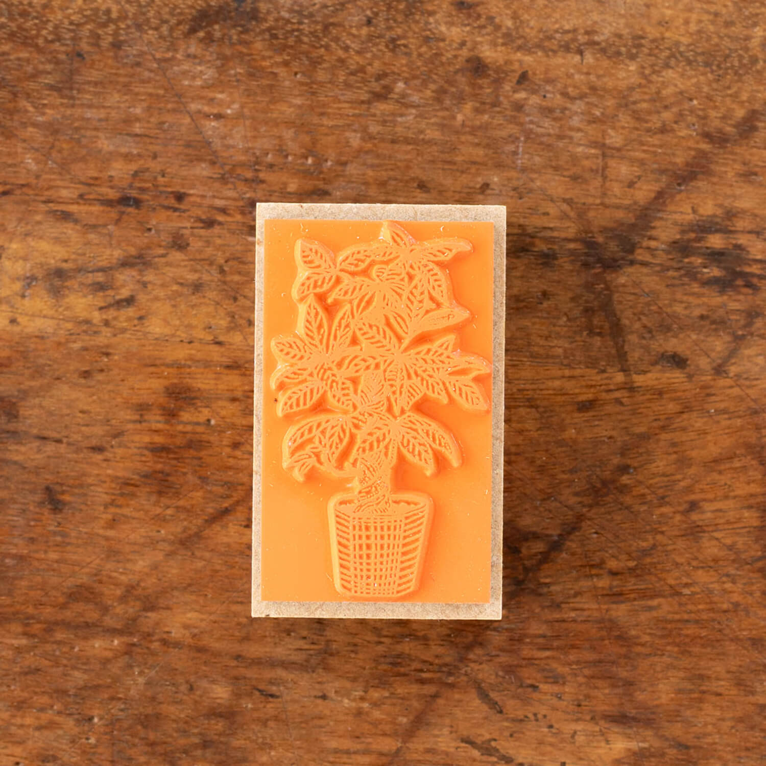 Tegamisha x Aya Inoue Stamp – Pachira