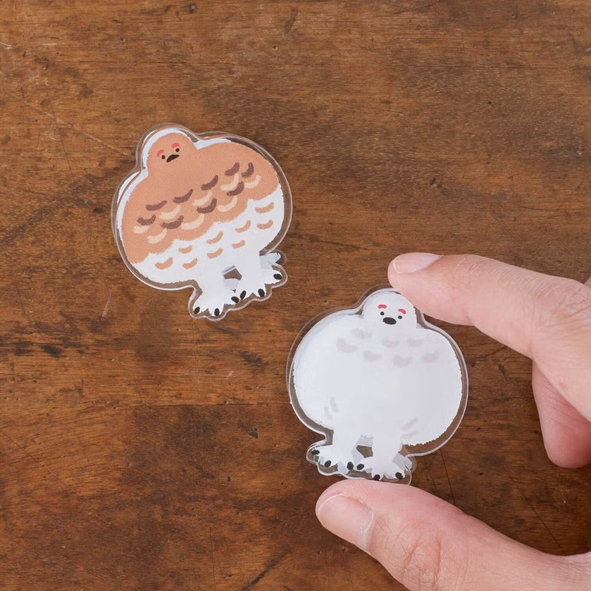 Tegamisha x Ayano Kinoshita Reversible Acrylic Clip – Ptarmigan in Winter and Summer Plumage
