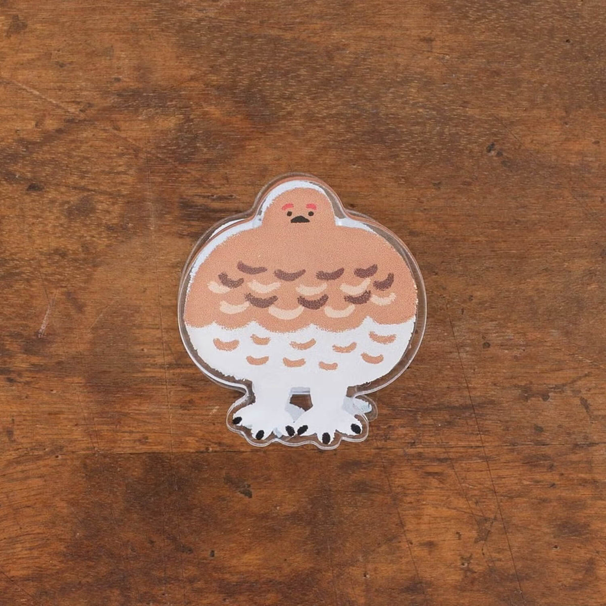 Tegamisha x Ayano Kinoshita Reversible Acrylic Clip – Ptarmigan in Winter and Summer Plumage