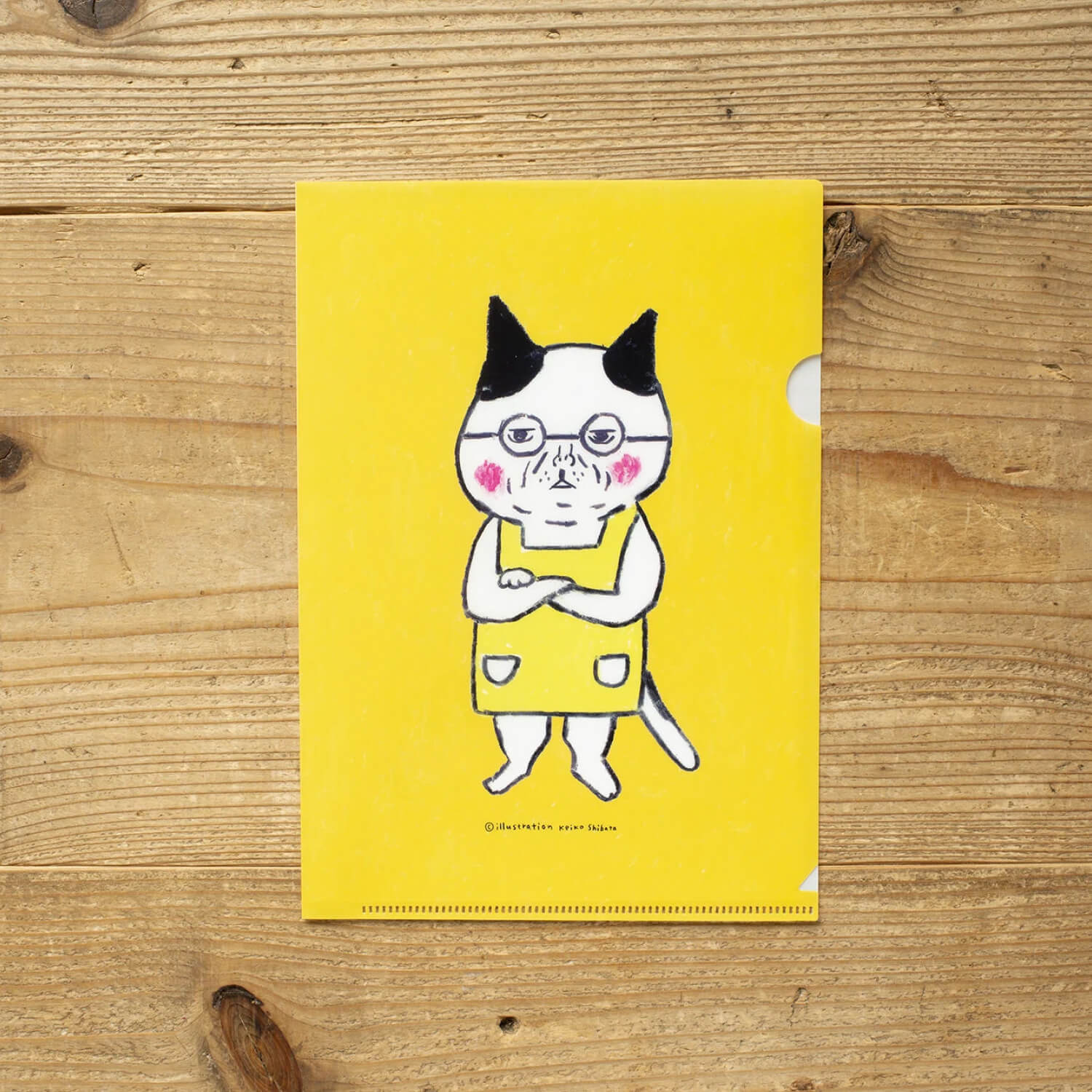 Tegamisha x Keiko Shibata Clear File – Meganeko