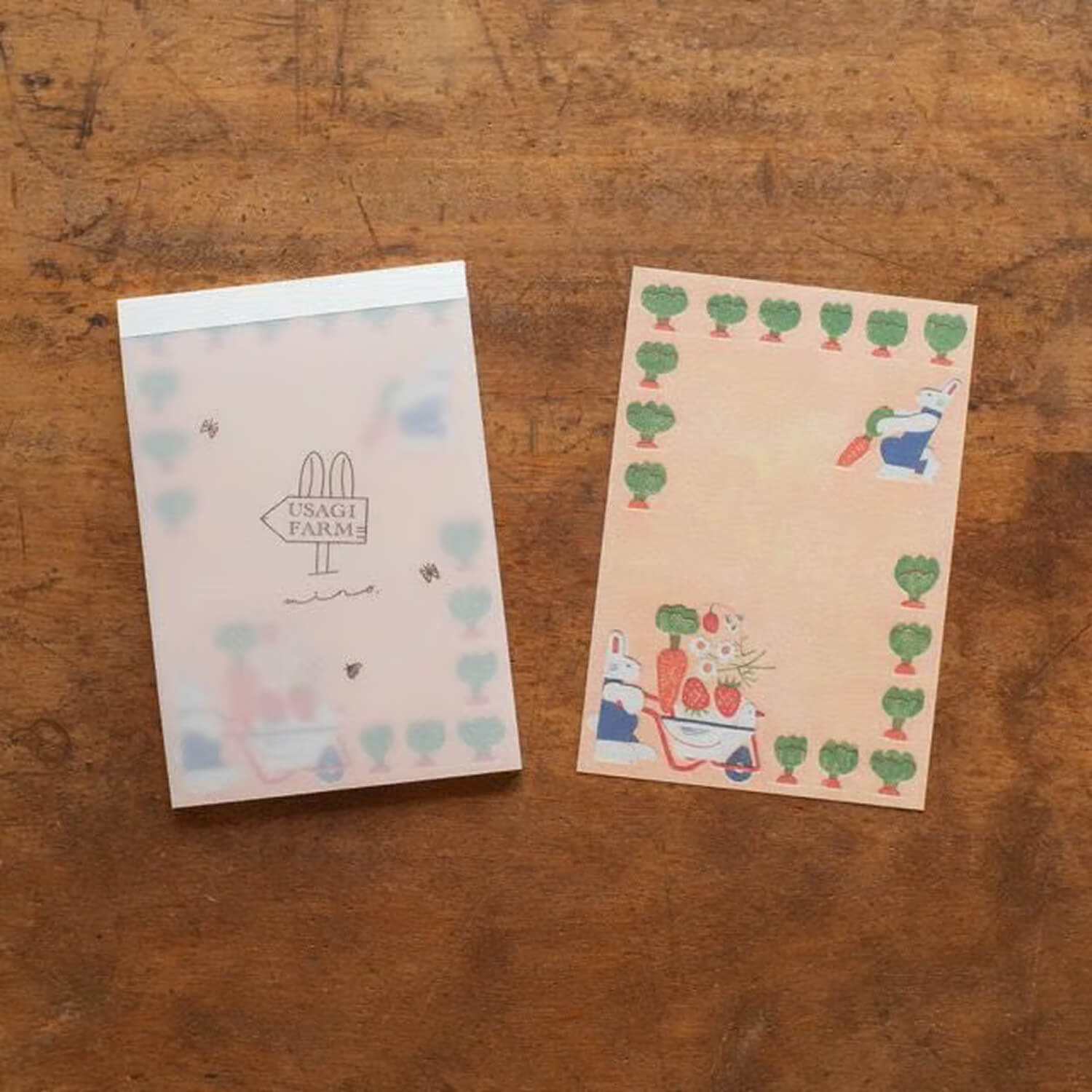 Tegamisha x Mino Okabe Memo Pad – USAGI FARM