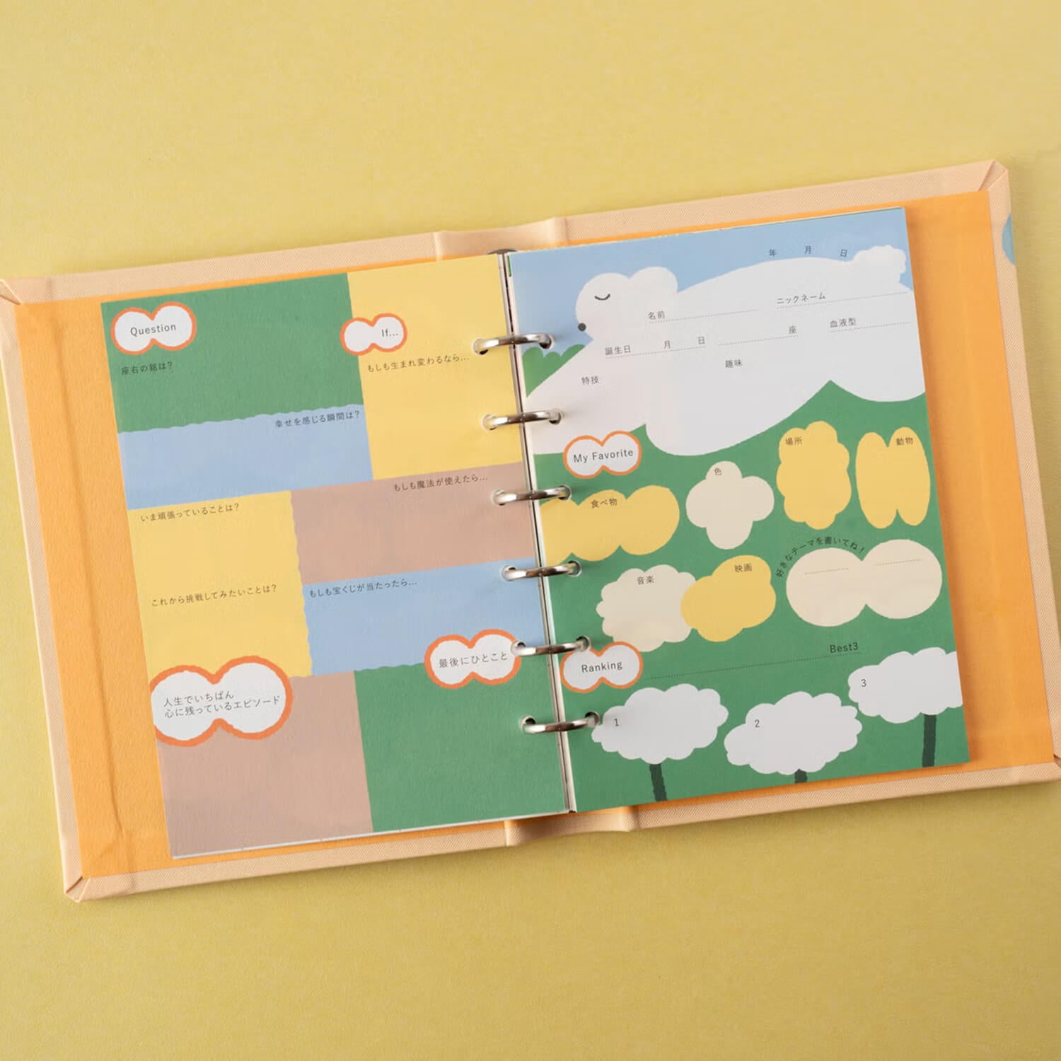 Tegamisha x Shimamura Hikari Mini Binder Profile Refill – Weather