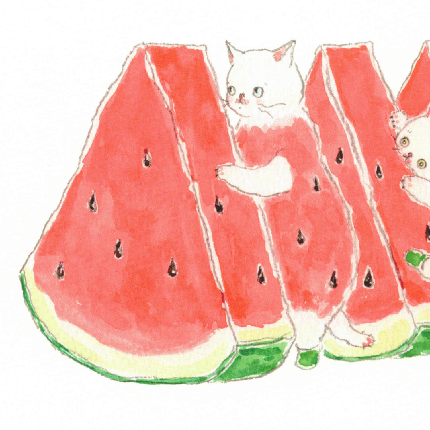 Tocoro Comugi Summer Postcard – Watermelon