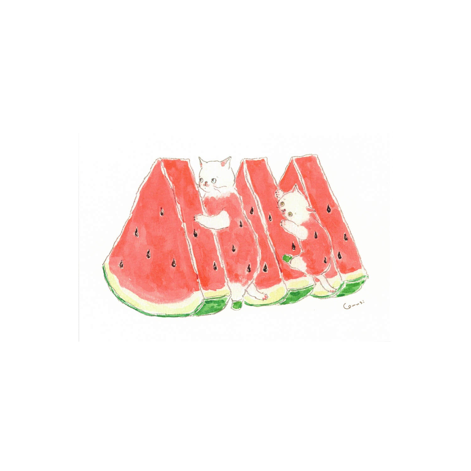 Tocoro Comugi Summer Postcard – Watermelon