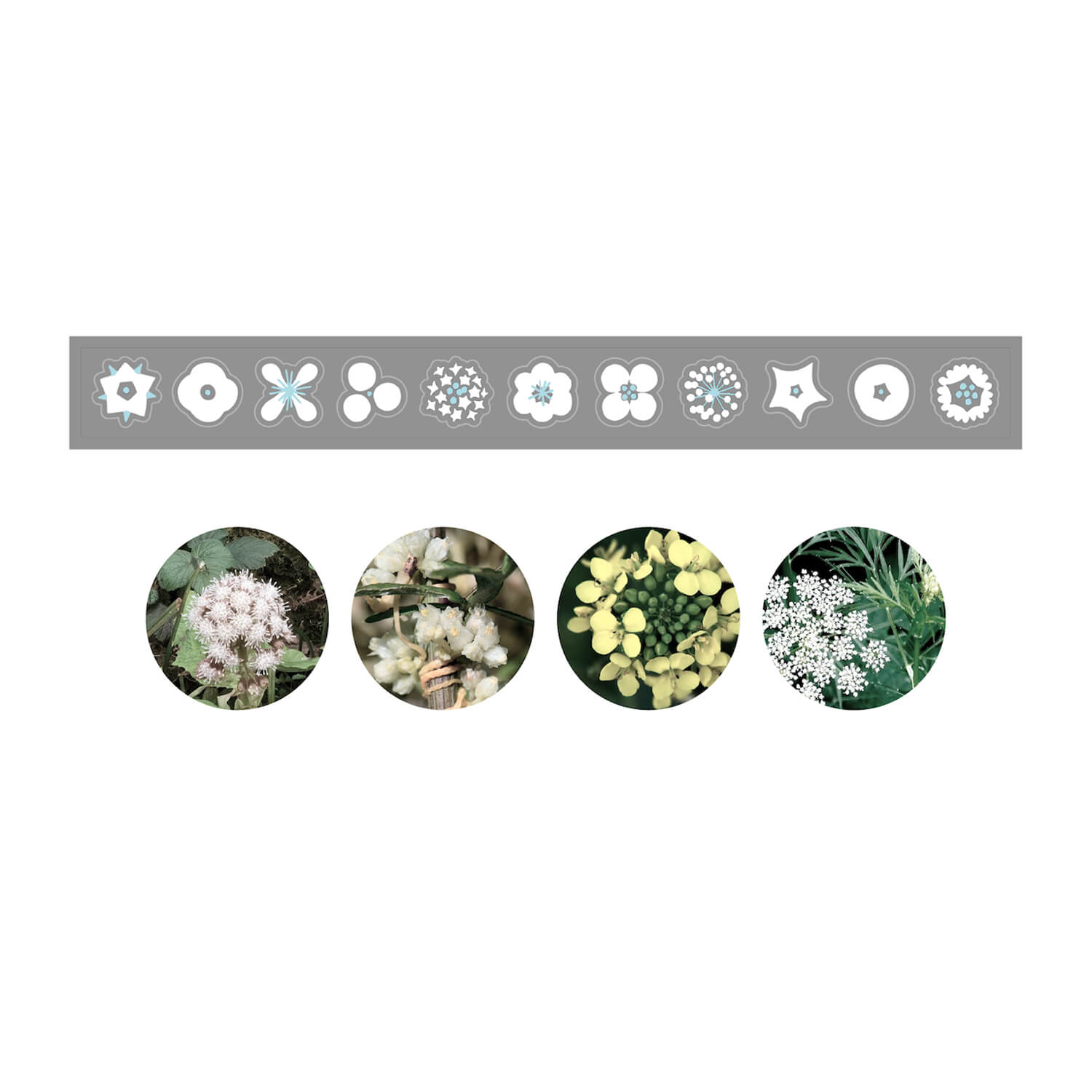 Unooooo PET Tape – Wildflower Guide