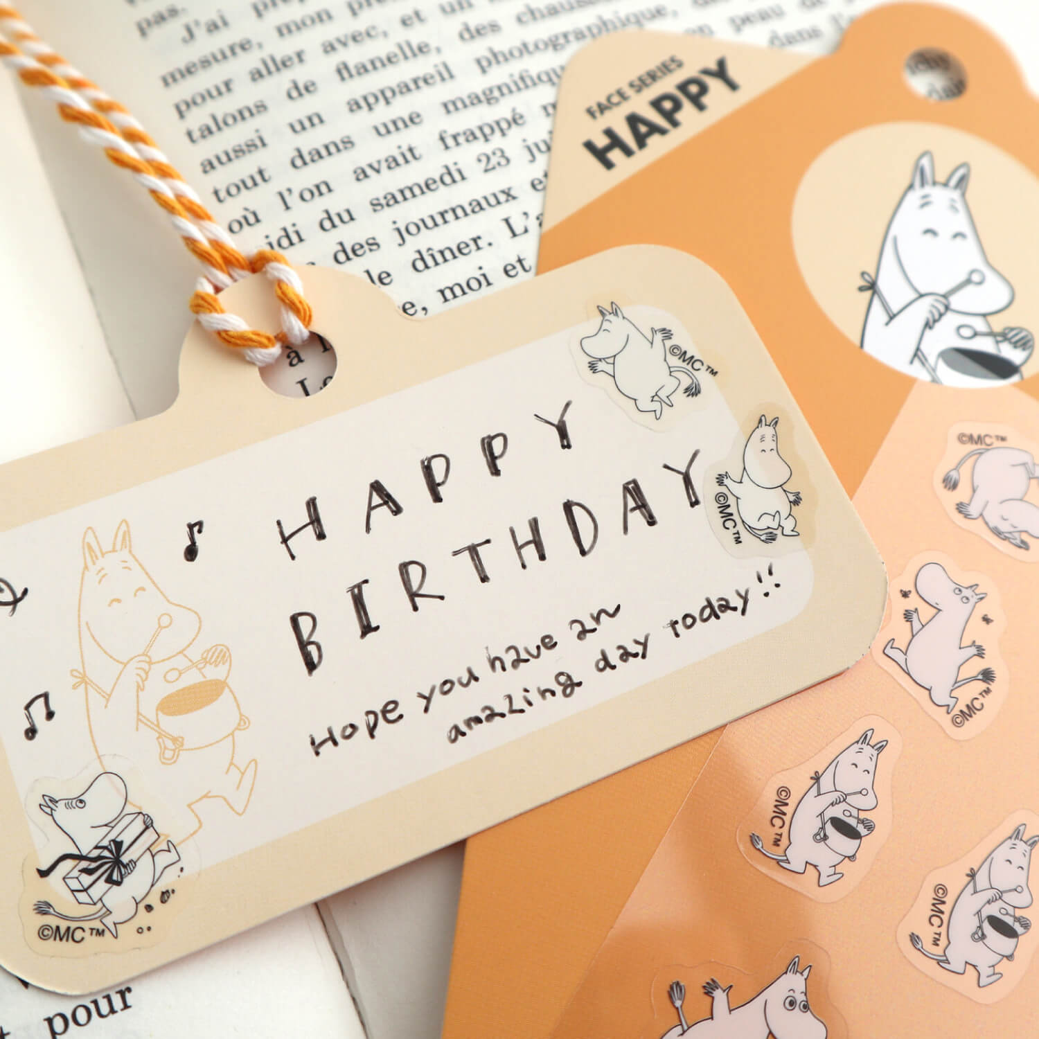 World Craft x Moomin Face Sheet Stickers – Happy