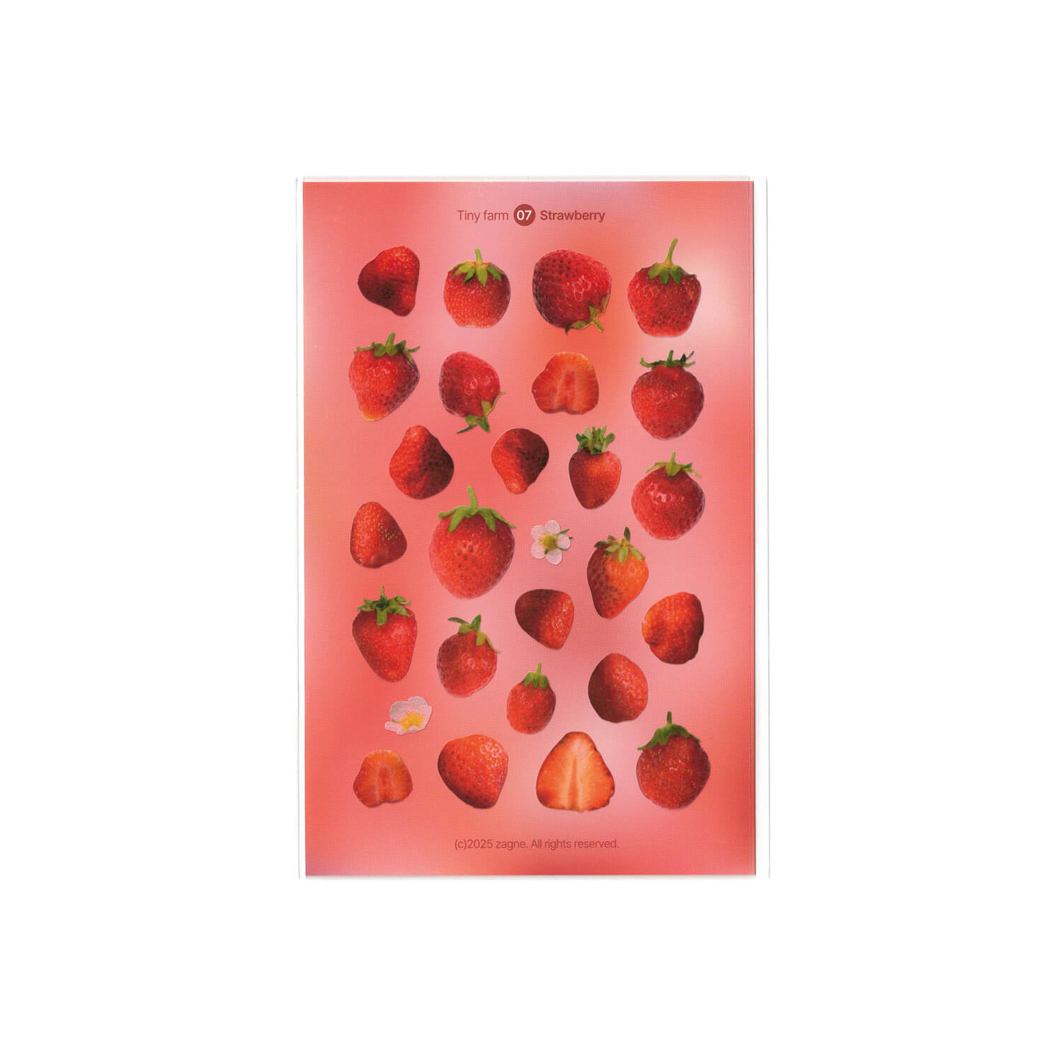Zagne Washi Sticker Sheet – Tiny Farm