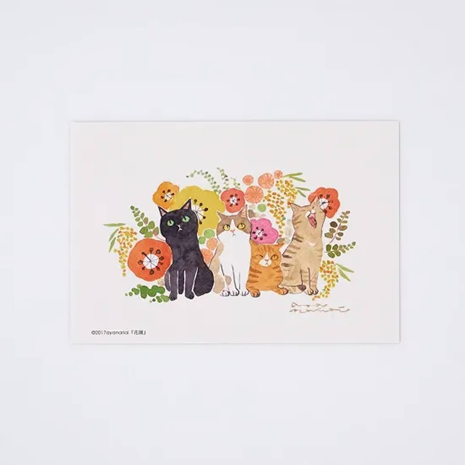 aya nariai Postcard – Flower Garden