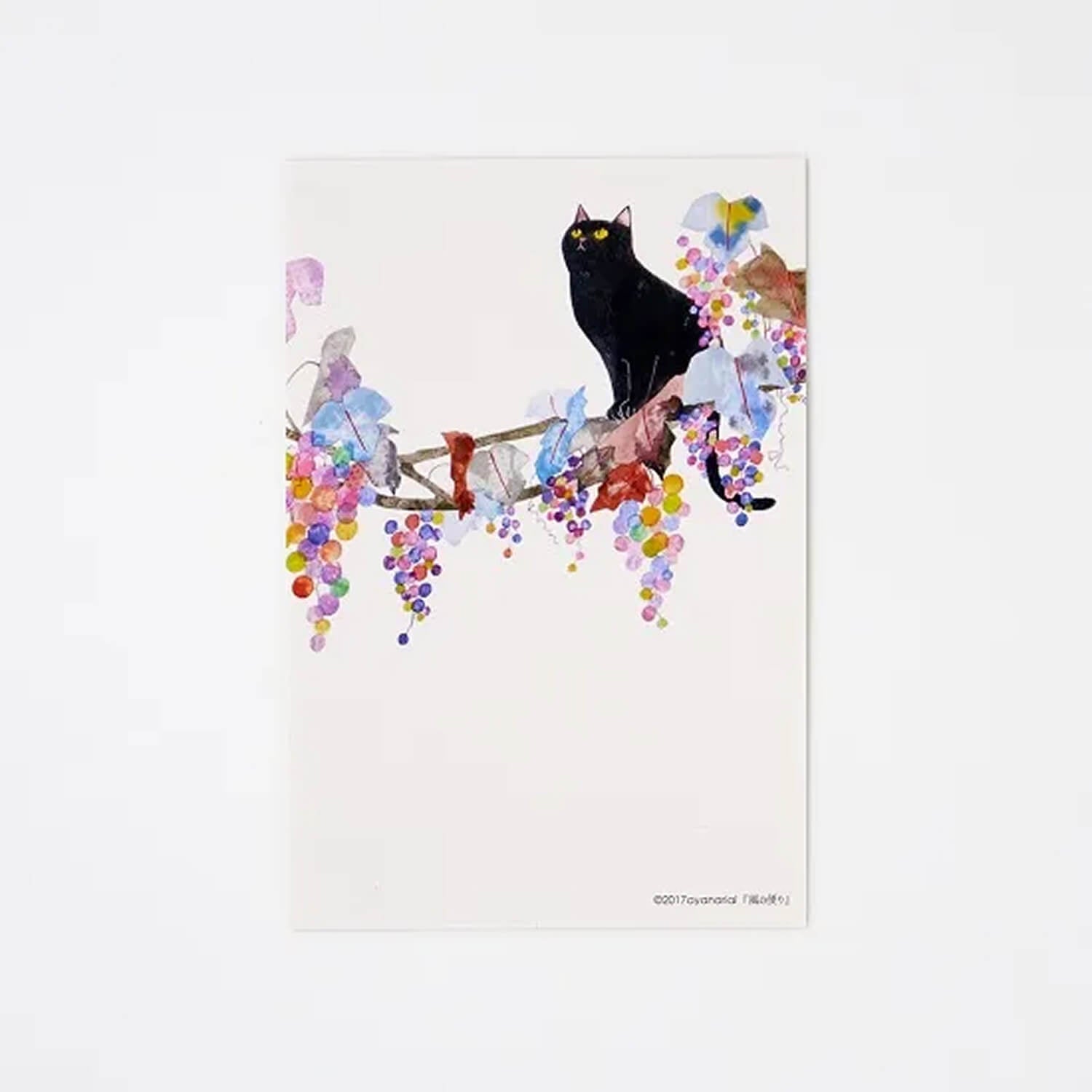 aya nariai Postcard – News from the Wind