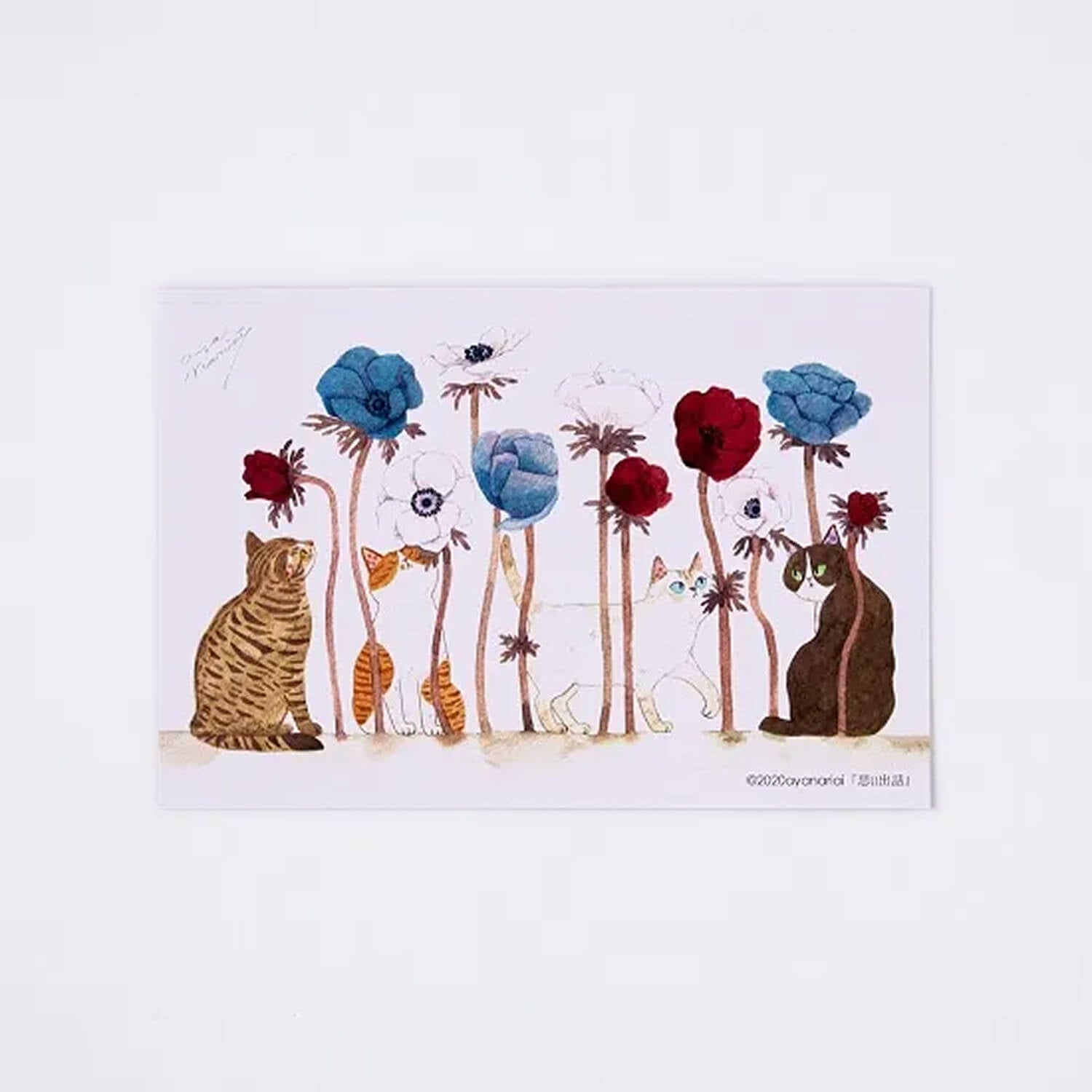 aya nariai Postcard – Reminiscence