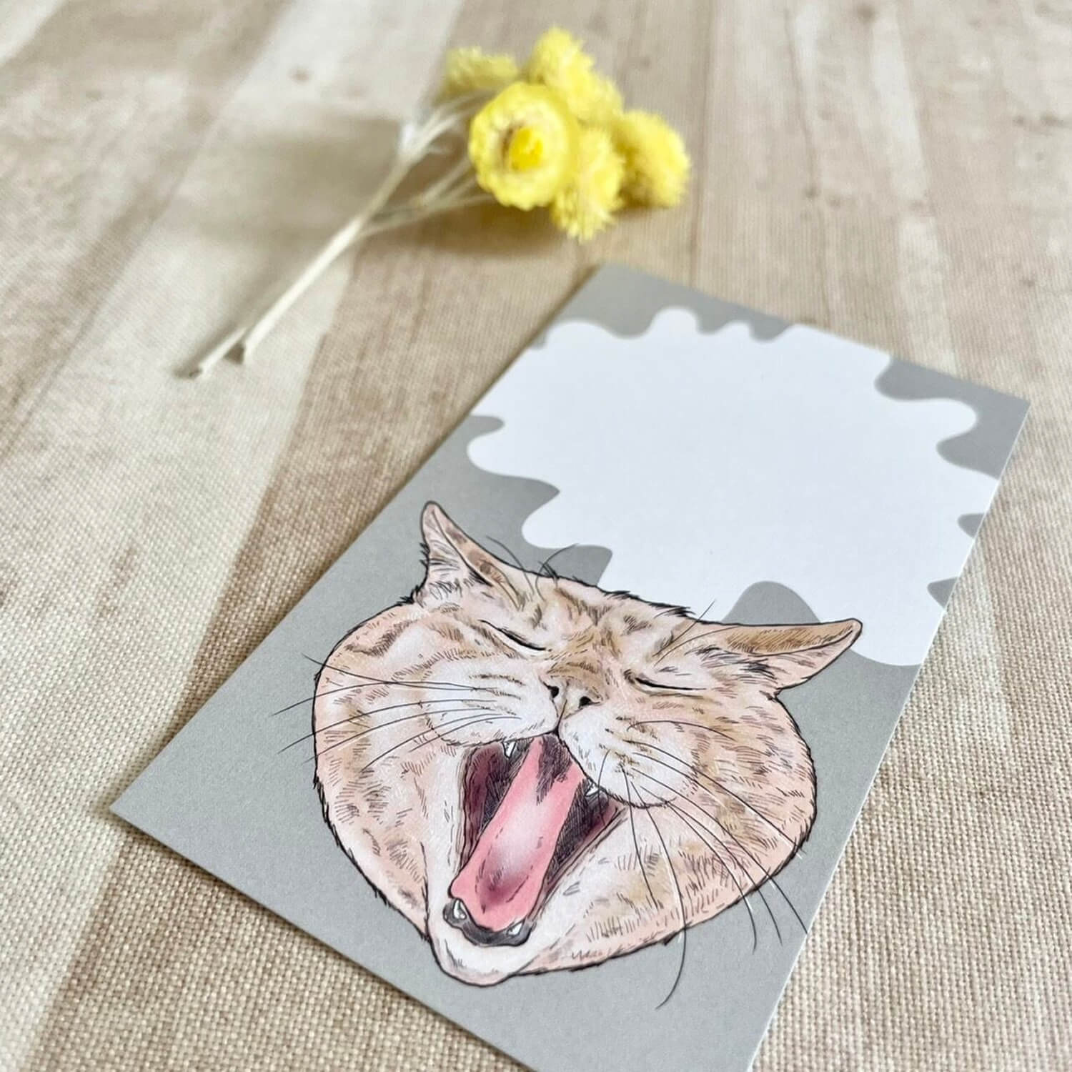 nemunoki paper item Mini Cards – FUNNY FACE CAT