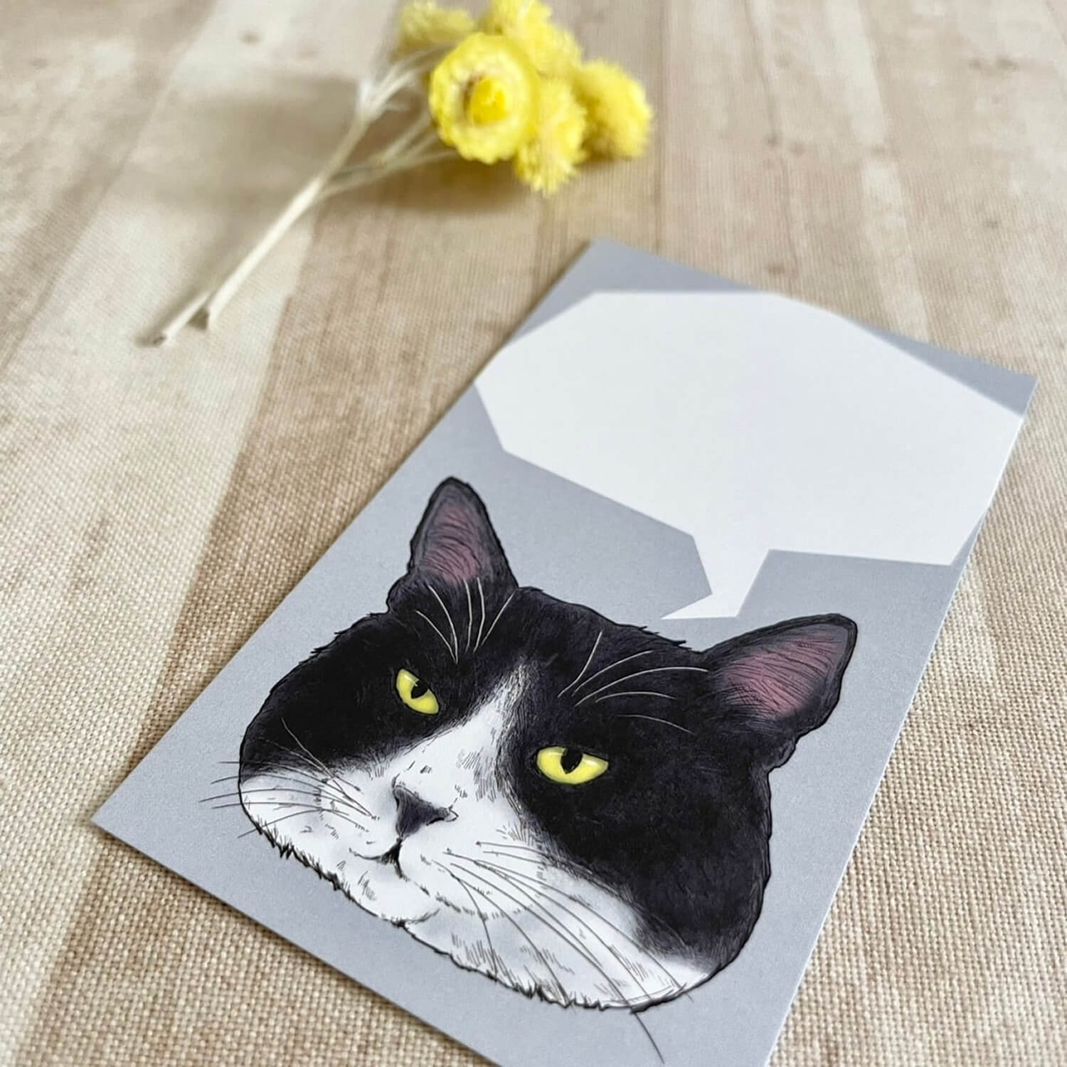 nemunoki paper item Mini Cards – FUNNY FACE CAT