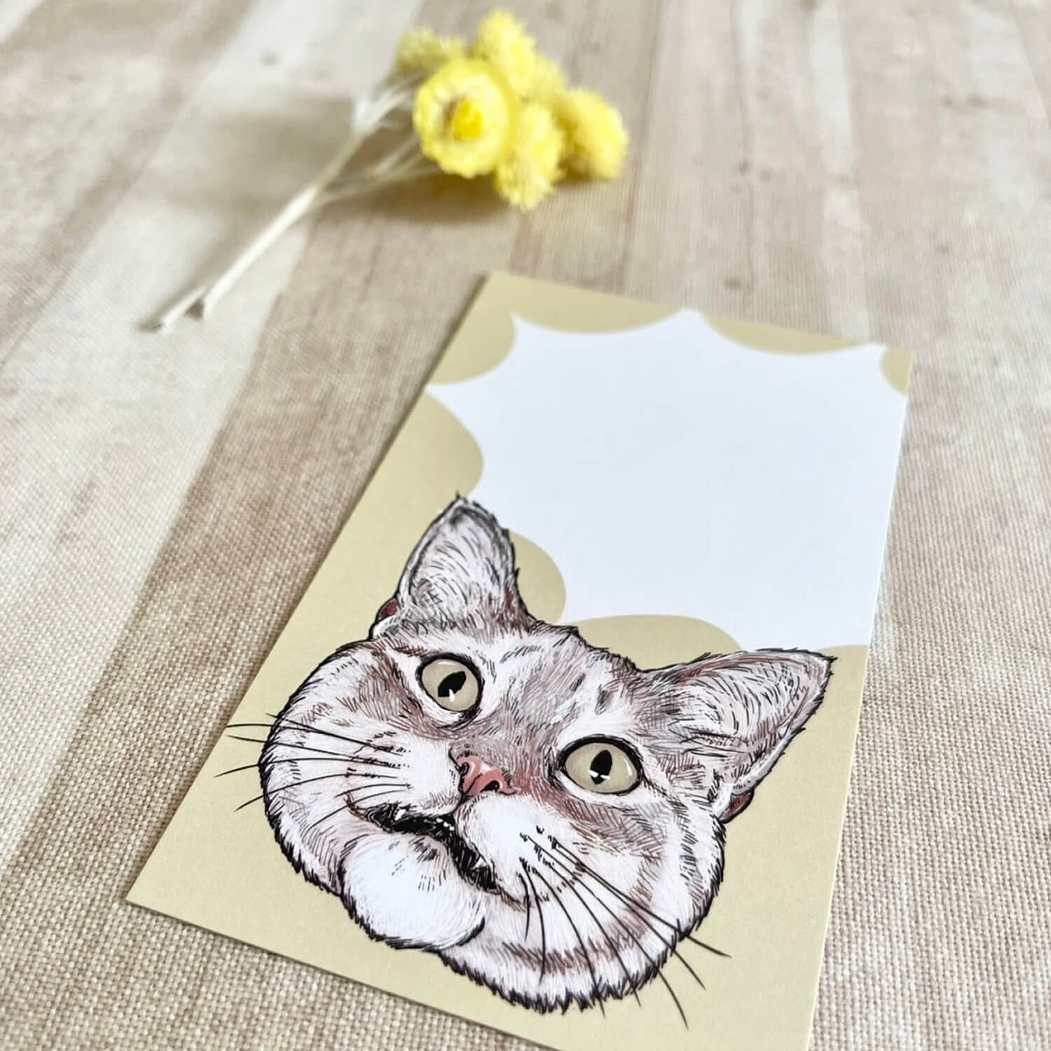 nemunoki paper item Mini Cards – FUNNY FACE CAT